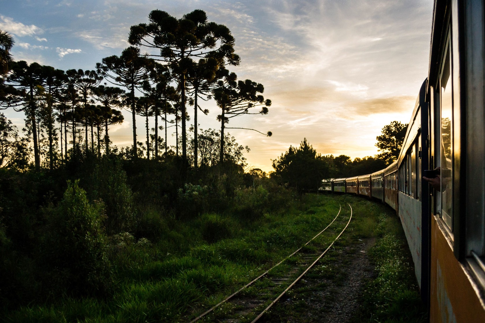 AdobeStock_315040070 (1) (1).jpeg